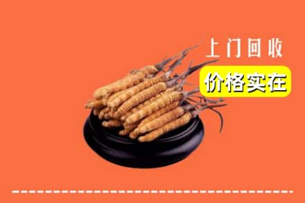 文峰区回收冬虫夏草