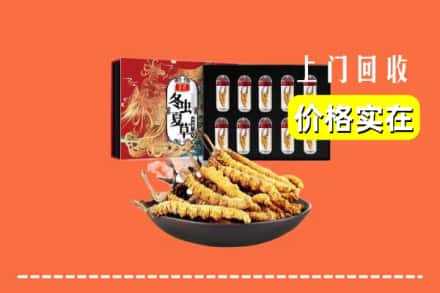 文峰区回收虫草